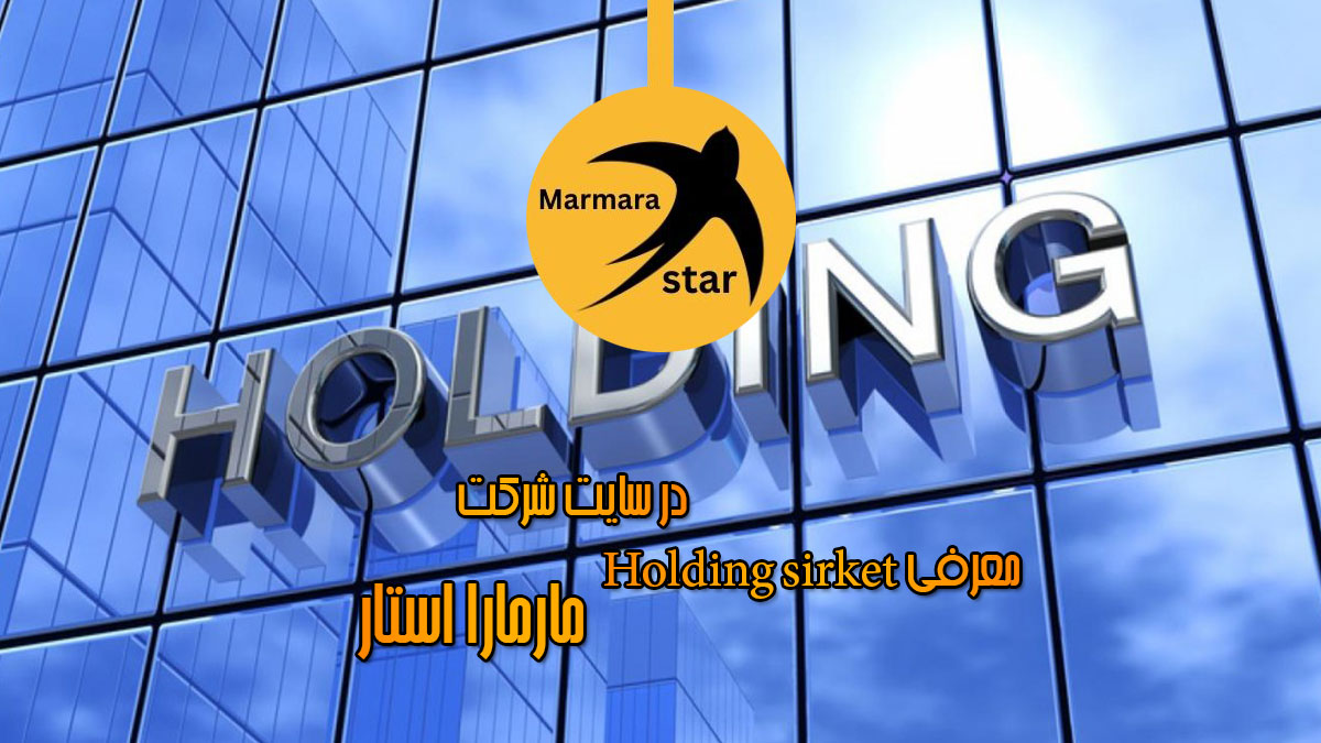 شرکت های هلدینگ Holding