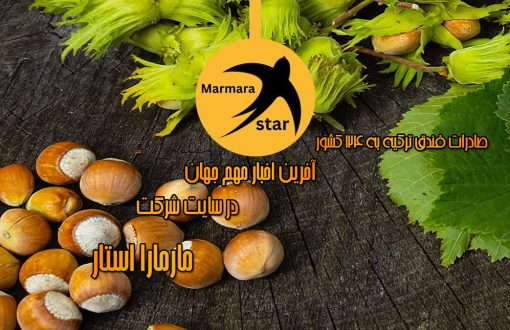 صادرات فندق ترکیه به 124 کشور