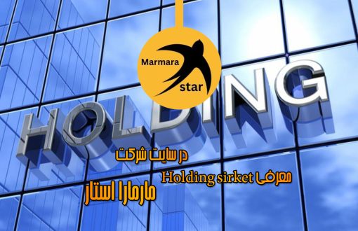 شرکت های هلدینگ Holding