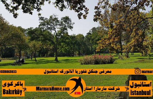 جنگل فلوریا آتاتورک استانبول