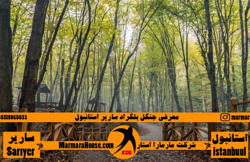 جنگل بلگراد ساریر استانبول